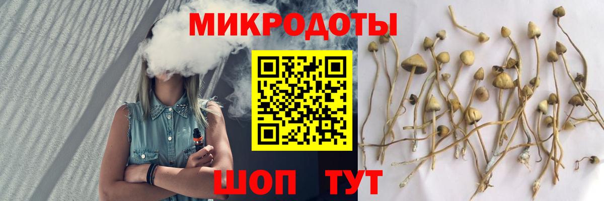 Псилоцибиновые грибы мицелий  Галлюциногенные грибы Psilocybe  Вход с VPN  Корсаков 